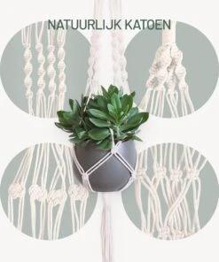 Gadgy Plantenhanger Macramé 3 Stuks - Luxe Gevlochten Touw Katoen - Plantenpot Ophangen - Hangpot -Tuinen Speciaal Winkel 1000x1200 5