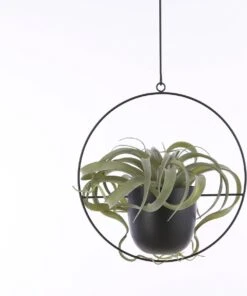 Mica Decorations Dexter Bloempot Hangend - L34 X B14 X H65 Cm - Zwart -Tuinen Speciaal Winkel 1002x1200