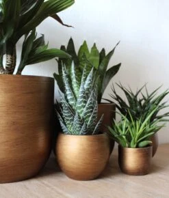 Capi Europe - Bloempot Bol Retro - 23x21 - Goud - Bloempot Voor Binnen - BRTG134 -Tuinen Speciaal Winkel 1023x1200 1