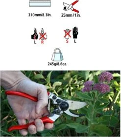 Felco 2 + GRATIS Felco Handschoenen In Cadeauverpakking -Tuinen Speciaal Winkel 1056x1200 3