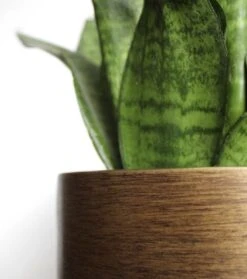 Capi Europe - Bloempot Bol Retro XL - 42x41 - Goud - Bloempot Voor Binnen - Opening ⌀36 - RTG933 -Tuinen Speciaal Winkel 1061x1200 1