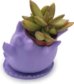 Azhora Pokémon Gengar Bloempot - Inclusief Opvangschaal - Lichtpaars -Tuinen Speciaal Winkel 1069x1200