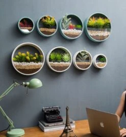 Ronde Muur Plantenbak Zwart - Decoratie - Planten - Interieur - Bloemen - Woondecoratie - Muurbekleding - 11 Ronde Muur Plantenbak Zwart - Decoratie - Planten - Interieur - Bloemen - Woondecoratie - Muurbekleding - -Tuinen Speciaal Winkel 1097x1200 1