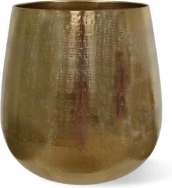 Merkloos Bloempot Karakter Goud - L -Tuinen Speciaal Winkel 1099x1200