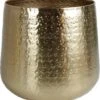 Gina Da Bloempot Karakter Goud - XL -Tuinen Speciaal Winkel 1101x1200 1