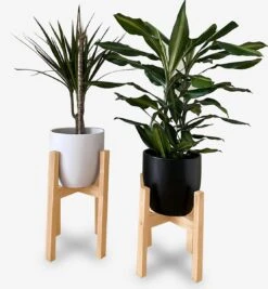 Plantenstandaard | Set Van 2 | Diameter Tot 24 Cm | Plantenkruk | Bloempotten Voor Binnen | Plantentafeltje Voor Binnen | Bloempot Standaard | Plantenstandaard Binnen | Hout | Licht Bruin