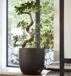 Capi Europe - Bloempot Bol Smooth NL - 35x34 - Zwart - Voor Binnen En Buiten - KBL932 -Tuinen Speciaal Winkel 1116x1200