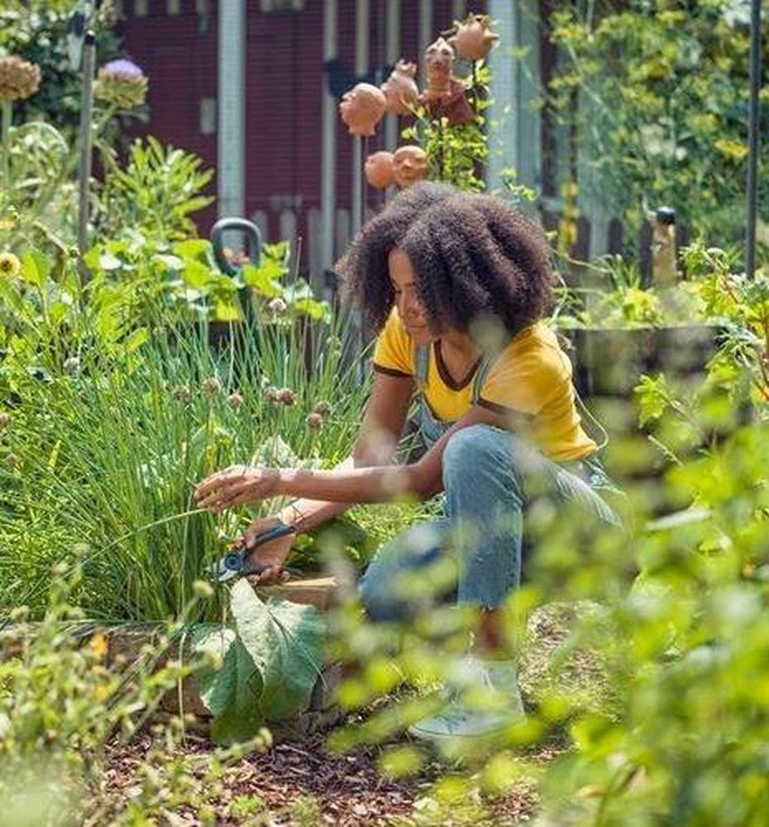 GARDENA - ExpertCut - Snoeischaar - 22 Diameter Tak 16 GARDENA - ExpertCut - Snoeischaar - 22 Diameter Tak - Afbeelding 14