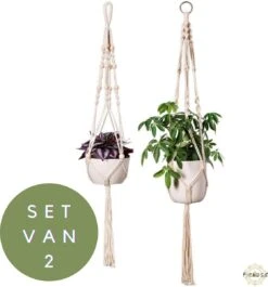 Plantenhanger - Plantenhanger Macrame - Set Van 2 - Wit - Knopen - Luxe Gevlochten Touw - Met Ophang Haken - Fienosa 13 Plantenhanger - Plantenhanger Macrame - Set Van 2 - Wit - Knopen - Luxe Gevlochten Touw - Met Ophang Haken - Fienosa -Tuinen Speciaal Winkel 1118x1200 3