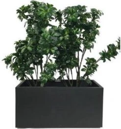 Elho Vivo Matt Finish Lang Wielen 90 - Grote Staande Plantenbak Voor Binnen & Buiten - Gemaakt Van Gereycled Plastic - L 39 X W 88 X H 41 Cm - Zwart -Tuinen Speciaal Winkel 1124x1200 4