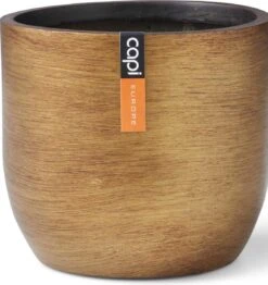 Capi Europe - Bloempot Bol Retro - 14x13 - Goud - Bloempot Voor Binnen - BRTG132 -Tuinen Speciaal Winkel 1131x1200 2