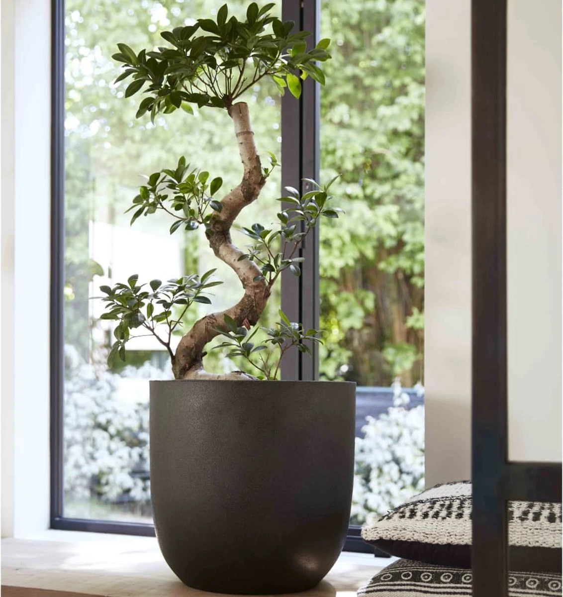 Capi Europe - Bloempot Bol Smooth NL - 43x41 - Zwart - Voor Binnen En Buiten - KBL933 9 Capi Europe - Bloempot Bol Smooth NL - 43x41 - Zwart - Voor Binnen En Buiten - KBL933 - Afbeelding 7