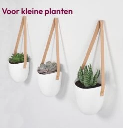 Gadgy Plantenhanger Keramiek - Set Van 3 - Hangpot Van Wit Steen - Hangende Bloempot Plantenpot - Met 3 Verschillende Koorden - 12x11x9.5CM -Tuinen Speciaal Winkel 1149x1200 2