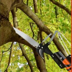 Gardebruk Takkenzaag Telescopisch - 2in1 Zaag & Snoeischaar - Oranje -Tuinen Speciaal Winkel 1189x1200 10