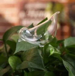 Waterdruppelaar Planten - Vorm Vogel - Set Van 3 Kunststof Druppelaars - 25cm Lengte - Genoeg Water Tijdens Je Vakantie 7 Waterdruppelaar Planten - Vorm Vogel - Set Van 3 Kunststof Druppelaars - 25cm Lengte - Genoeg Water Tijdens Je Vakantie -Tuinen Speciaal Winkel 1190x1200 4