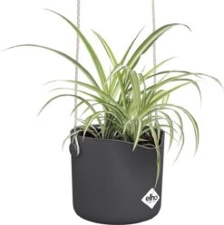 Elho B.for Swing 18 Hangpot - Bloempot Voor Binnen - Ø 18.0 X H 16.5 Cm - Zwart/Antraciet -Tuinen Speciaal Winkel 1191x1200 6