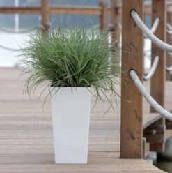 Prosperplast Kunststof Urbi Bloempot/plantenpot Met Binnenpot Wit 32 X 32 X 61 Cm - 21/49 Liter - Hoge Vierkante Bloempotten 18 Prosperplast Kunststof Urbi Bloempot/plantenpot Met Binnenpot Wit 32 X 32 X 61 Cm - 21/49 Liter - Hoge Vierkante Bloempotten -Tuinen Speciaal Winkel 1194x1200 1