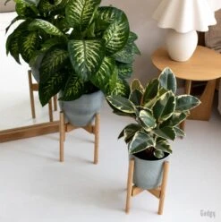 Gadgy Bamboe Plantenstandaard 2 St - Plantentafel - Plantentafeltje Voor Binnen - Plantenrek - Uitschuifbaar - Hout - Ø 20 Tot 30 Cm -Tuinen Speciaal Winkel 1197x1200 7