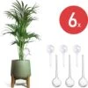Merkloos JADI - Druppelsysteem - Waterdruppelaar Voor Uw Planten - Set Van 6 Stuks - 3 Grote & 3 Kleine - Transparante Waterbollen -Tuinen Speciaal Winkel 1198x1200 5