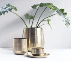 Gina Da - Bloempot - Karakter - Goud - Metaal - 15 Cm Hoog 13 Gina Da - Bloempot - Karakter - Goud - Metaal - 15 Cm Hoog -Tuinen Speciaal Winkel 1200x1027 5