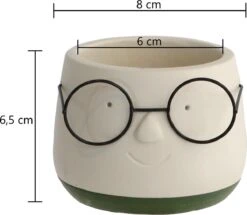 2x Bloempot Met Gezicht - Ø8 X H6,5 Cm - Bloempotten Voor Binnen Met Bril/Face/Hoofd -Tuinen Speciaal Winkel 1200x1045