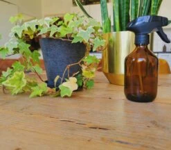 24DOTS Living Plantenspuit | 300 Ml Bruin Amber Glas | Plantensproeier | Plantenspuit Binnen | Waterverstuiver | Vernevelaar -Tuinen Speciaal Winkel 1200x1051