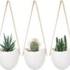 Merkloos Plantenhanger Keramiek – Set Van 3 – Steen- Hangpot – Hangende Bloempot Plantenpot Met 3 Verschillende Koorden – 12 X 11 X 9.5 Cm -Tuinen Speciaal Winkel 1200x1067 2
