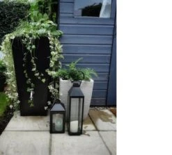 Prestige Manhattan 100L Regenton Zwart (incl. Kraantje) 18 Prestige Manhattan 100L Regenton Zwart (incl. Kraantje) -Tuinen Speciaal Winkel 1200x1083 1