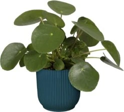 Elho Vibes Fold Rond 22 - Bloempot Voor Binnen - Ø 22.0 X H 20.2 Cm - Diepblauw 23 Elho Vibes Fold Rond 22 - Bloempot Voor Binnen - Ø 22.0 X H 20.2 Cm - Diepblauw -Tuinen Speciaal Winkel 1200x1094 1