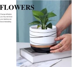 Bloempotten Binnen - Keramiek - Gouden Rand - Bloempot Buiten - Afvoergat 24 Cm - Wit Zwart – Groot -Tuinen Speciaal Winkel 1200x1118 3