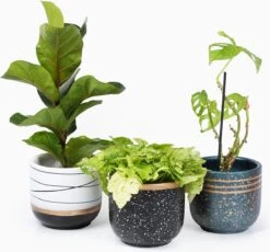 Bloempotten Binnen - Keramiek - Gouden Rand - Bloempot Buiten - Afvoergat 24 - Small Set Van 3 - 15 Cm