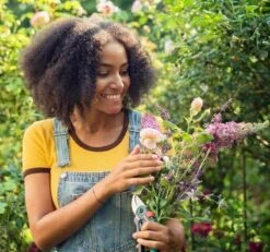 GARDENA - ExpertCut - Snoeischaar - 22 Diameter Tak 24 GARDENA - ExpertCut - Snoeischaar - 22 Diameter Tak -Tuinen Speciaal Winkel 1200x1122 3