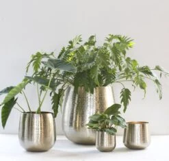 Gina Da - Bloempot - Karakter - Goud - Metaal - 15 Cm Hoog 12 Gina Da - Bloempot - Karakter - Goud - Metaal - 15 Cm Hoog -Tuinen Speciaal Winkel 1200x1142 1