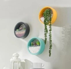 Ronde Muur Plantenbak Zwart - Decoratie - Planten - Interieur - Bloemen - Woondecoratie - Muurbekleding - 12 Ronde Muur Plantenbak Zwart - Decoratie - Planten - Interieur - Bloemen - Woondecoratie - Muurbekleding - -Tuinen Speciaal Winkel 1200x1167 4