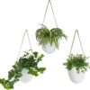 Gadgy Plantenhanger Keramiek - Set Van 3 - Hangpot Van Wit Steen - Hangende Bloempot Plantenpot - Met 3 Verschillende Koorden - 12x11x9.5CM -Tuinen Speciaal Winkel 1200x1172 1