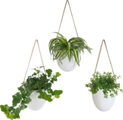 Gadgy Plantenhanger Keramiek - Set Van 3 - Hangpot Van Wit Steen - Hangende Bloempot Plantenpot - Met 3 Verschillende Koorden - 12x11x9.5CM