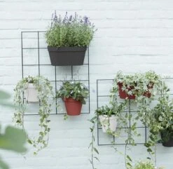 Elho Loft Urban Green Wall Rek 48 - Accessoires Voor Buiten - Ø 47.3 X H 59.0 Cm - Zwart/Living Black -Tuinen Speciaal Winkel 1200x1173 3