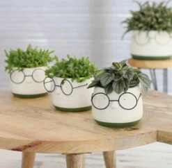 2x Bloempot Met Gezicht - Ø8 X H6,5 Cm - Bloempotten Voor Binnen Met Bril/Face/Hoofd -Tuinen Speciaal Winkel 1200x1178 2