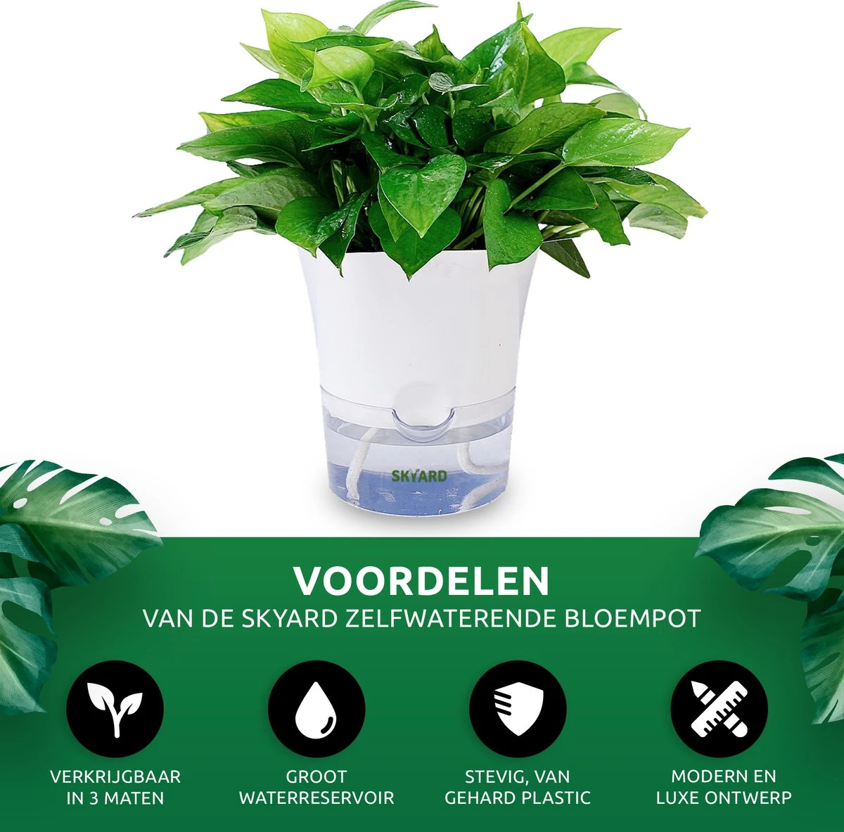 SKYARD® 3 Stuks Zelfwaterende Bloempot Maat M – Milieuvriendelijk Watergeefsysteem Kamerplanten – Zelfwatergevende Pot – Bloempot Met Waterreservoir – Selfwatering Pot – Wit 11 SKYARD® 3 Stuks Zelfwaterende Bloempot Maat M – Milieuvriendelijk Watergeefsysteem Kamerplanten – Zelfwatergevende Pot – Bloempot Met Waterreservoir – Selfwatering Pot – Wit - Afbeelding 9