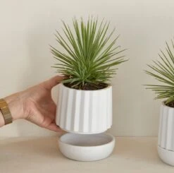 Riviera Maison Plantenbak Rond, Bloempot Met Ribbel - RM Let It Grow Planter - Wit - Porselein - Maat S -Tuinen Speciaal Winkel 1200x1191 11