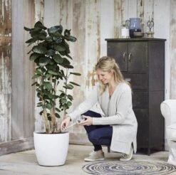 Elho Aqua Care 9 - Accessoires Voor Binnenaccessoires - Ø 17.3 X H 32.0 Cm - Transparant/Transparant -Tuinen Speciaal Winkel 1200x1193 5