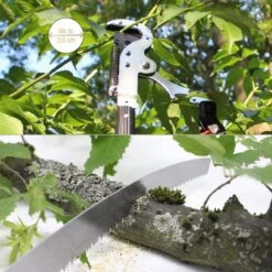 Iceberk Snoeischaar + Snoeizaag (1,45 - 3,70 M) - Telescopische Snoeischaar Voor Het Snoeien Van Bomen En Dichte Struiken Zonder Ladder 12 Iceberk Snoeischaar + Snoeizaag (1,45 - 3,70 M) - Telescopische Snoeischaar Voor Het Snoeien Van Bomen En Dichte Struiken Zonder Ladder -Tuinen Speciaal Winkel 1200x1200 1171