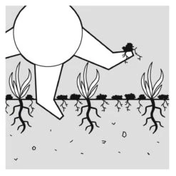 GARDENA EVC 1000 Verticuteermachine - Werkbreedte 30 Cm - Werkgebied 600m2 -Tuinen Speciaal Winkel 1200x1200 1297