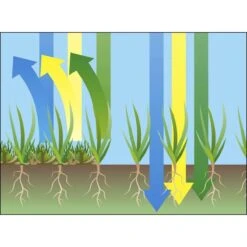 GARDENA EVC 1000 Verticuteermachine - Werkbreedte 30 Cm - Werkgebied 600m2 -Tuinen Speciaal Winkel 1200x1200 1298