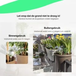HGMD Waterdruppelaar Set Van 8 Stuks Voor Planten Transparant - Groen - Waterdruppelaar Voor Kamerplanten – Waterbol - Waterdruppelaar Voor Planten - Watergeefsysteem -Tuinen Speciaal Winkel 1200x1200 169