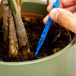 Woonaccessoires- Automatisch Watergeef Systeem | Plantenwaterer - Life Support Irrigatieapparaat | Druppelaar Kamerplanten - | Planten Watergever Met Druppelsysteem 350ml -Tuinen Speciaal Winkel 1200x1200 17