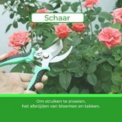 Djambo Tuingereedschap Set 8-delig Tuinsetje Met 15 Unieke Bamboe Plantetiketten In 1 Draagtas - Compleet Tuingereedschap Voor De Tuinliefhebbers -Tuinen Speciaal Winkel 1200x1200 1785