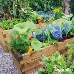 Koemestkorrels 3in1 (20Kg Voor 200m2) Allround Organische Meststof - Direct Opneembare Voeding - Langdurige Werking > 120 Dagen - Geurloos - Verbeterd Bodem - Lavameel Toevoeging - Versterkt Gras En Planten - Organifer 16 Koemestkorrels 3in1 (20Kg Voor 200m2) Allround Organische Meststof - Direct Opneembare Voeding - Langdurige Werking > 120 Dagen - Geurloos - Verbeterd Bodem - Lavameel Toevoeging - Versterkt Gras En Planten - Organifer -Tuinen Speciaal Winkel 1200x1200 1840