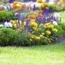 Koemestkorrels 3in1 (20Kg Voor 200m2) Allround Organische Meststof - Direct Opneembare Voeding - Langdurige Werking > 120 Dagen - Geurloos - Verbeterd Bodem - Lavameel Toevoeging - Versterkt Gras En Planten - Organifer 18 Koemestkorrels 3in1 (20Kg Voor 200m2) Allround Organische Meststof - Direct Opneembare Voeding - Langdurige Werking > 120 Dagen - Geurloos - Verbeterd Bodem - Lavameel Toevoeging - Versterkt Gras En Planten - Organifer -Tuinen Speciaal Winkel 1200x1200 1842