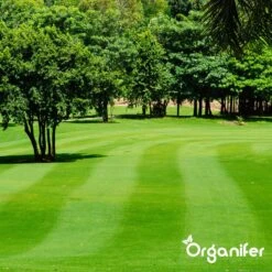 IJzersulfaat Meststof – Mos Verwijderaar – 5kg -Voor 250m2 (organifer) 20 IJzersulfaat Meststof – Mos Verwijderaar – 5kg -Voor 250m2 (organifer) -Tuinen Speciaal Winkel 1200x1200 1860